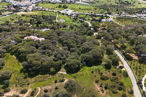 Helårsgrund i Lagoa, Faro, Lagoa - € 299.500 | Ref: VH762PTM - foto 5