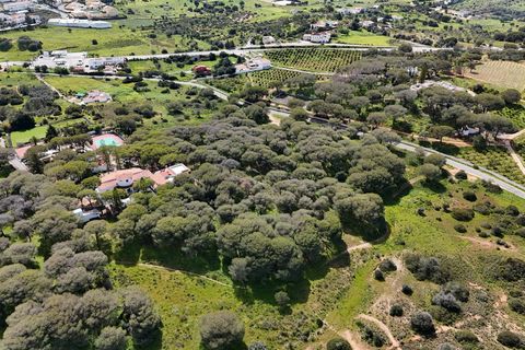 Helårsgrund i Lagoa, Faro, Lagoa - € 299.500 | Ref: VH762PTM - foto 7