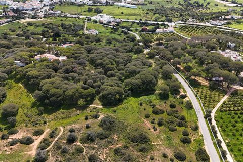 Helårsgrund i Lagoa, Faro, Lagoa - € 299.500 | Ref: VH762PTM - foto 8