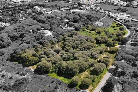 Helårsgrund i Lagoa, Faro, Lagoa - € 299.500 | Ref: VH762PTM - foto 12