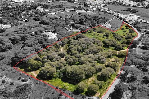 Helårsgrund i Lagoa, Faro, Lagoa - € 299.500 | Ref: VH762PTM - foto 13