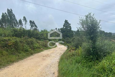 Helårsgrund i Coimbra, Coimbra, Coimbra - € 220.000 | Ref: 385/T/00687 - foto 3