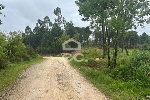 Helårsgrund i Coimbra, Coimbra, Coimbra - € 220.000 | Ref: 385/T/00687 - foto 4