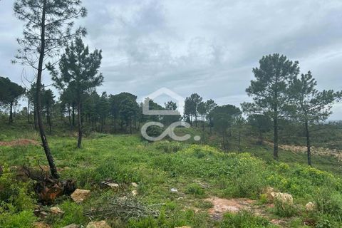 Helårsgrund i Coimbra, Coimbra, Coimbra - € 220.000 | Ref: 385/T/00687 - foto 5