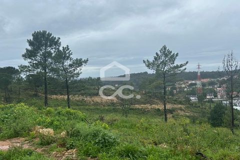 Helårsgrund i Coimbra, Coimbra, Coimbra - € 220.000 | Ref: 385/T/00687 - foto 9