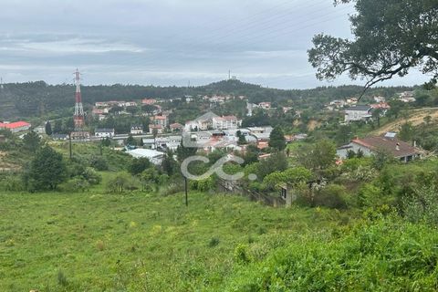 Helårsgrund i Coimbra, Coimbra, Coimbra - € 220.000 | Ref: 385/T/00687 - foto 11