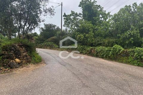 Helårsgrund i Coimbra, Coimbra, Coimbra - € 220.000 | Ref: 385/T/00687 - foto 12