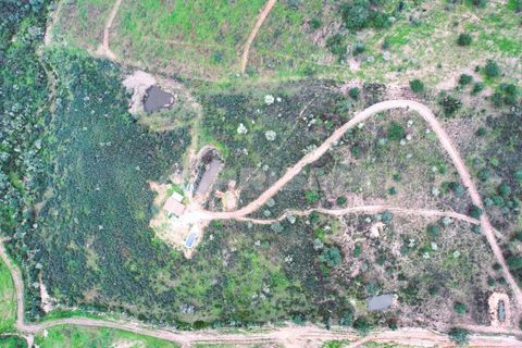 Farm i Castelo Branco, Castelo Branco, Castelo Branco - € 110.000 | Ref: PP4067 - foto 1