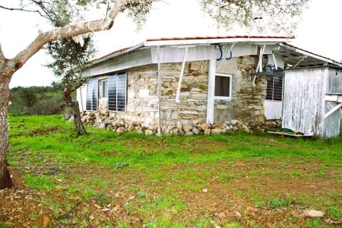 Farm i Castelo Branco, Castelo Branco, Castelo Branco - € 110.000 | Ref: PP4067 - foto 3