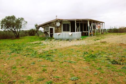 Farm i Castelo Branco, Castelo Branco, Castelo Branco - € 110.000 | Ref: PP4067 - foto 6