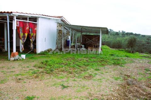 Farm i Castelo Branco, Castelo Branco, Castelo Branco - € 110.000 | Ref: PP4067 - foto 8