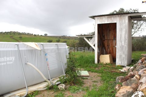Farm i Castelo Branco, Castelo Branco, Castelo Branco - € 110.000 | Ref: PP4067 - foto 9