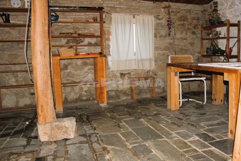 Farm i Castelo Branco, Castelo Branco, Castelo Branco - € 110.000 | Ref: PP4067 - foto 10