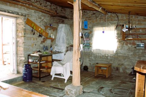 Farm i Castelo Branco, Castelo Branco, Castelo Branco - € 110.000 | Ref: PP4067 - foto 12