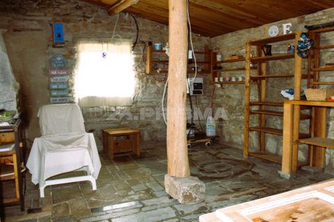 Farm i Castelo Branco, Castelo Branco, Castelo Branco - € 110.000 | Ref: PP4067 - foto 13