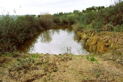Farm i Castelo Branco, Castelo Branco, Castelo Branco - € 110.000 | Ref: PP4067 - foto 17