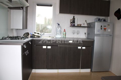 Farm i Castelo Branco, Castelo Branco, Castelo Branco - € 110.000 | Ref: PP4067 - foto 23