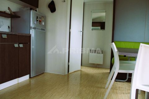 Farm i Castelo Branco, Castelo Branco, Castelo Branco - € 110.000 | Ref: PP4067 - foto 24
