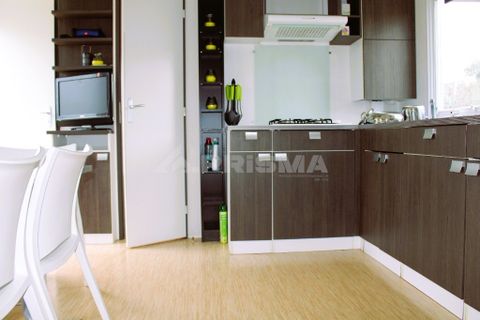 Farm i Castelo Branco, Castelo Branco, Castelo Branco - € 110.000 | Ref: PP4067 - foto 26