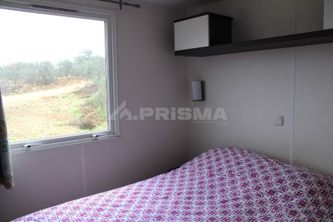 Farm i Castelo Branco, Castelo Branco, Castelo Branco - € 110.000 | Ref: PP4067 - foto 27