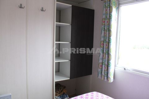Farm i Castelo Branco, Castelo Branco, Castelo Branco - € 110.000 | Ref: PP4067 - foto 30