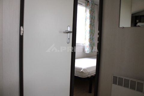 Farm i Castelo Branco, Castelo Branco, Castelo Branco - € 110.000 | Ref: PP4067 - foto 34