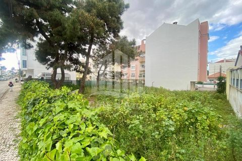 Helårsgrund i Quinta do Conde, Setubal, Quinta do Conde - € 150.000 | Ref: 9664 - foto 3