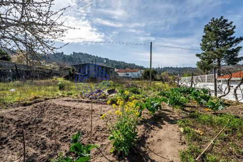 Landejendom i Armamar, Viseu, Armamar - € 180.000 | Ref: 180031 - foto 9