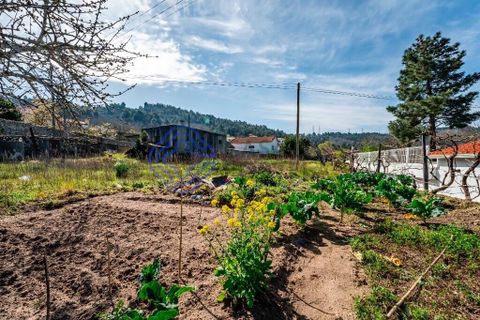 Helårsgrund i Armamar, Viseu, Armamar - € 15.000 | Ref: 180021 - foto 8