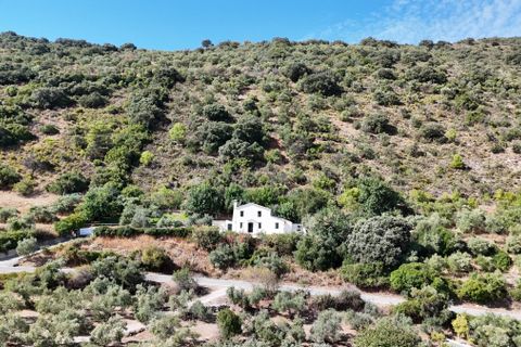 Finca: Zahara De La Sierra, Cadiz – zdjęcie 3