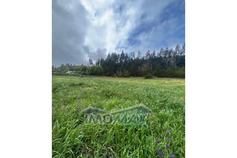 Farm i Penafiel, Porto, Penafiel - € 213.000 | Ref: 2024-021 - foto 13