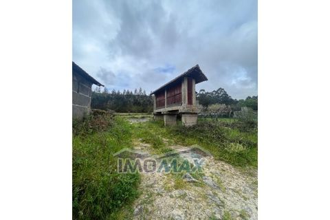 Farm i Penafiel, Porto, Penafiel - € 213.000 | Ref: 2024-021 - foto 15