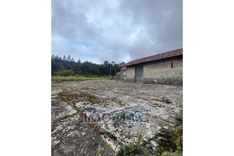 Farm i Penafiel, Porto, Penafiel - € 213.000 | Ref: 2024-021 - foto 16
