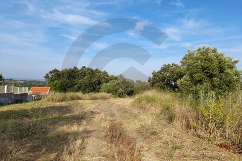 Helårsgrund i Olaia e Paco, Santarem, Olaia e Paco - € 70.000 | Ref: C0269-01756 - foto 4
