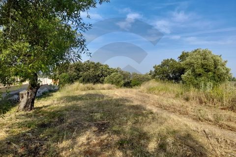 Helårsgrund i Olaia e Paco, Santarem, Olaia e Paco - € 70.000 | Ref: C0269-01756 - foto 5