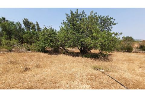 Byhus i Boliqueime, Faro, Boliqueime - € 150.000 | Ref: 338240041 - foto 5