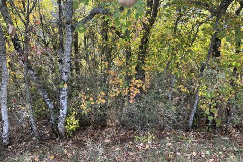 Terra a Verrieres, Aveyron, Verrieres - € 25.000 | Ref: 12014342975 - foto 2