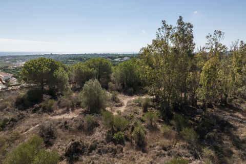 Helårsgrund i Sotogrande, Cadiz, Sotogrande - € 1.000.000 | Ref: STRAND6508 - foto 4