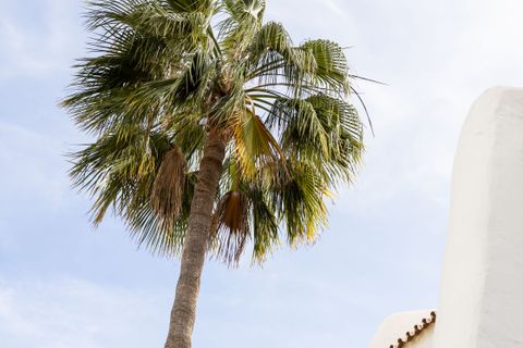 Byhus i Marbella, Malaga, Marbella - € 5.460.000 | Ref: STRAND2293 - foto 47