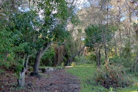 Tomt i Barbate, Cadiz, Barbate - € 4 500 000 | Ref: SP14016 - foto 4