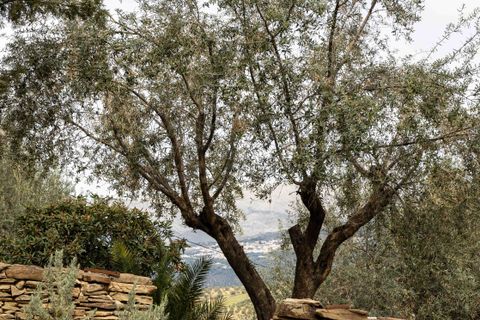 Byhus i Vinuela, Malaga, Vinuela - € 2.950.000 | Ref: STRANDP7145 - foto 40