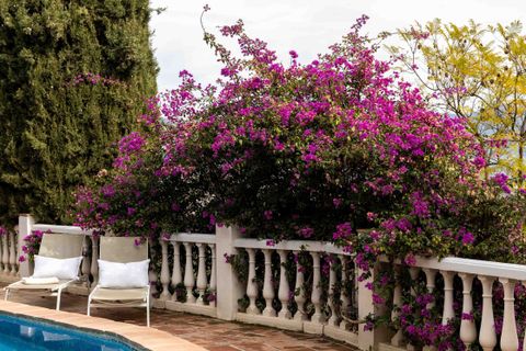 Byhus i Vinuela, Malaga, Vinuela - € 2.950.000 | Ref: STRANDP7145 - foto 42