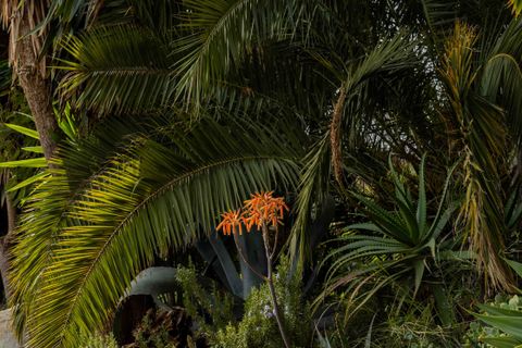 Byhus i Vinuela, Malaga, Vinuela - € 2.950.000 | Ref: STRANDP7145 - foto 45