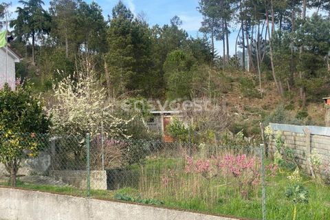 Terra a Abraveses, Viseu, Abraveses - € 75.000 | Ref: VS95027 - foto 2
