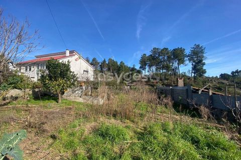 Terra a Abraveses, Viseu, Abraveses - € 75.000 | Ref: VS95027 - foto 6