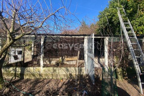 Terra a Abraveses, Viseu, Abraveses - € 75.000 | Ref: VS95027 - foto 9