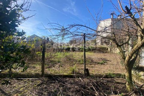Terra a Abraveses, Viseu, Abraveses - € 75.000 | Ref: VS95027 - foto 11
