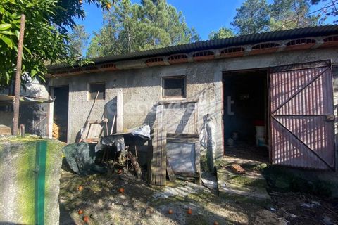 Terra a Abraveses, Viseu, Abraveses - € 75.000 | Ref: VS95027 - foto 12