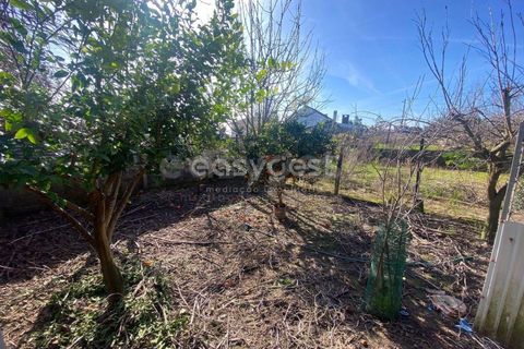 Terra a Abraveses, Viseu, Abraveses - € 75.000 | Ref: VS95027 - foto 13