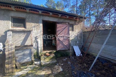Terra a Abraveses, Viseu, Abraveses - € 75.000 | Ref: VS95027 - foto 14